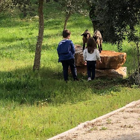 Casas Da Ladeia - Villa 1 Alvorge Dış mekan fotoğraf